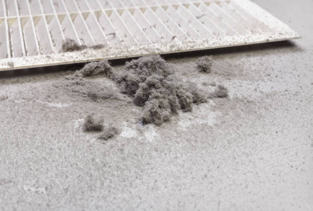 Best Best Air Duct Cleaning Company  in Belhaven, NC