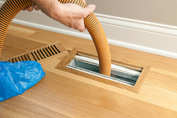 Best Home Air Vent Cleaning  in Belhaven, NC