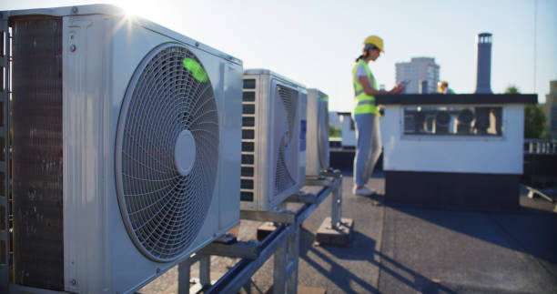 Best Air Duct Mold Removal  in Belhaven, NC