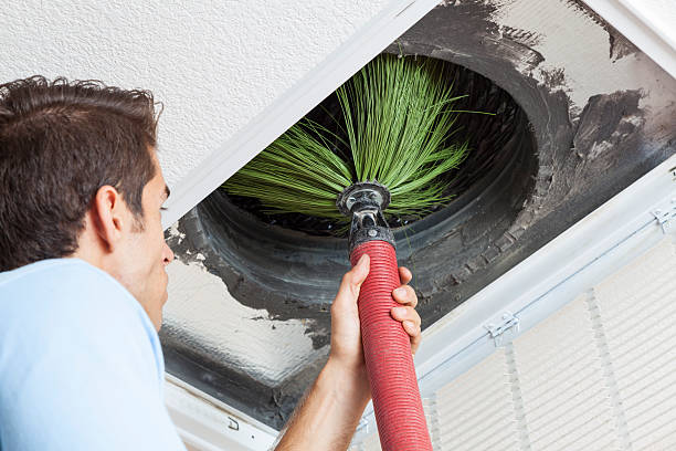 Best Residential Air Duct Cleaning  in Belhaven, NC