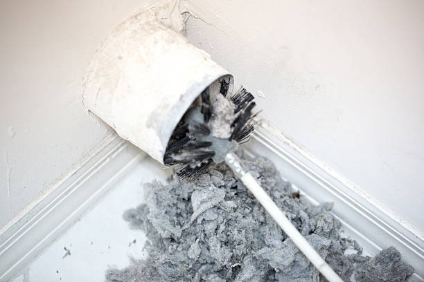 Best Professional Duct Cleaning Services  in Belhaven, NC