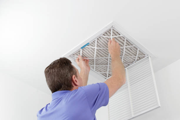 Best Home Air Vent Cleaning  in Belhaven, NC